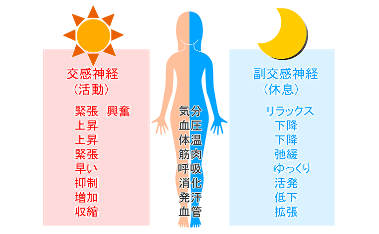 急激な温度変化が私たちの健康に与える影響